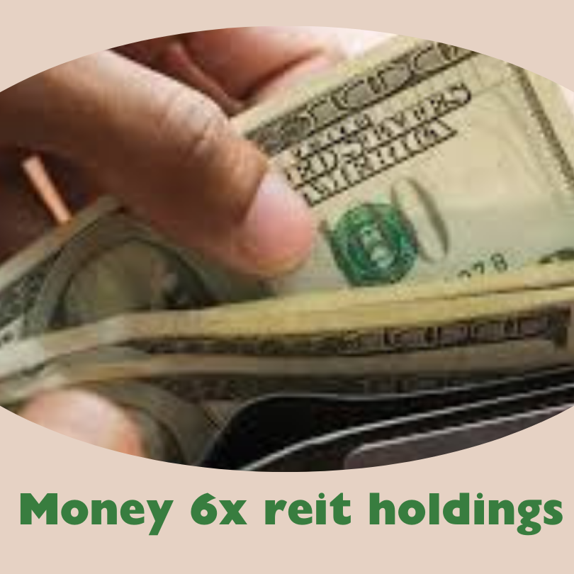 money 6x reit holdings