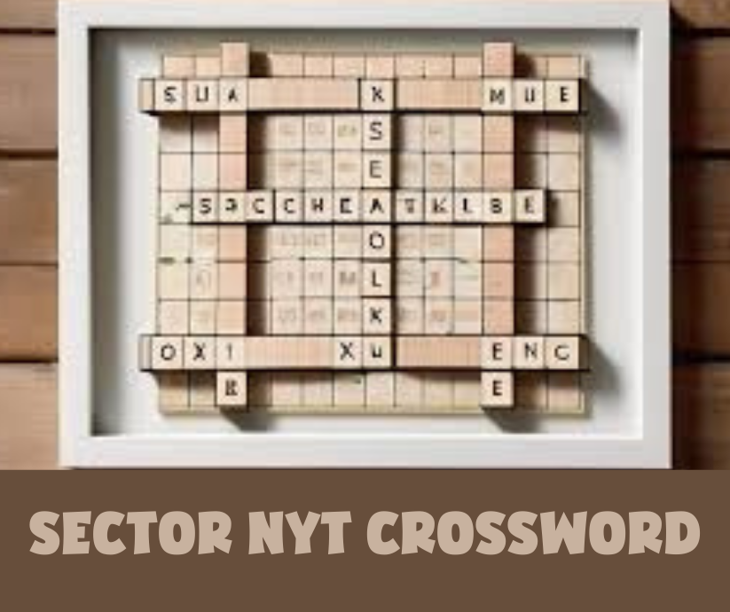 sector nyt crossword